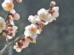 56F0DF2F-C9FC-4640-84E1-484B4C3B9819