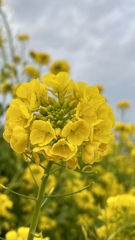 D9E44362-C95A-4AE0-A7AE-819A35CF2379