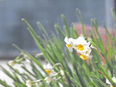 B36DF351-312F-4633-B9EB-50210D0DE642