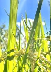 412850E3-298A-4135-9025-4603C9448D0D