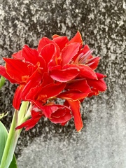 6F4C625E-7880-4FE6-A516-D2D51E263A2A