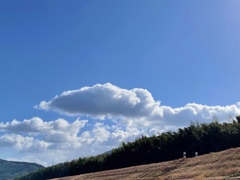 3BA372F9-AF2A-4C16-9E36-F38ED4D67C26