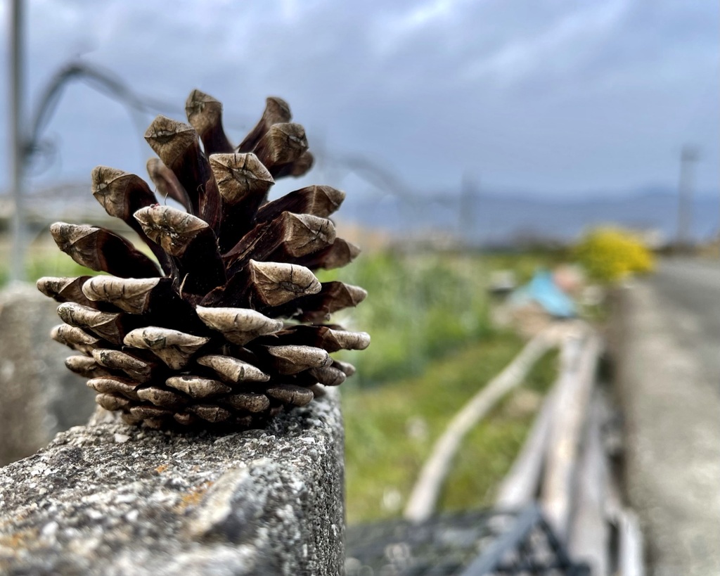 0803115A-B50F-4265-BE05-71F165A0ED85