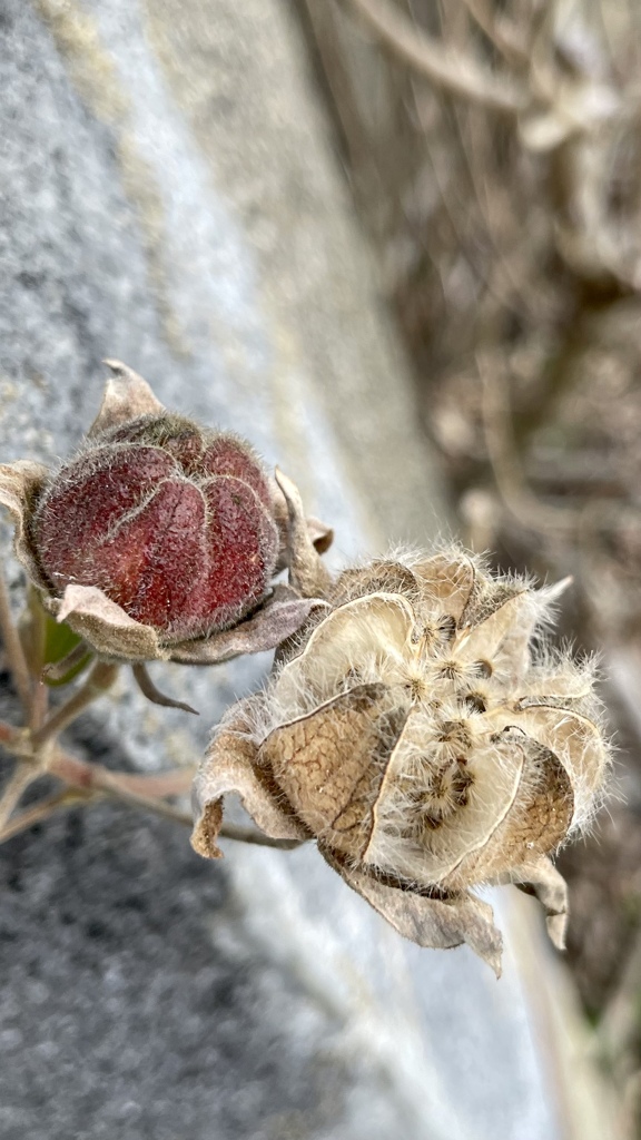 67FB1F81-62CA-436D-BCFE-1FA43579CF5A