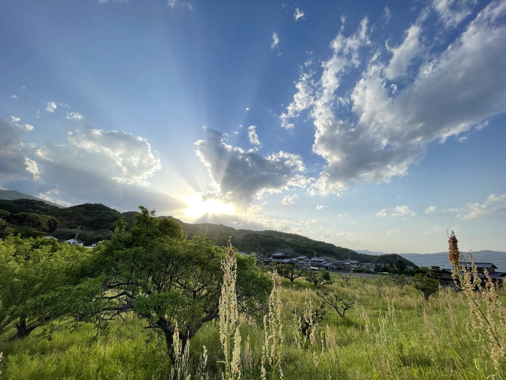 E64B722C-7E08-4C97-BA5E-53CDB8EC8198