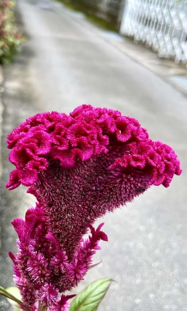 B6C1A16F-5F45-4B12-A64A-86EC09BA91EE