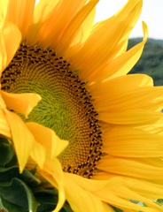 969C97BC-781A-4E1B-A69E-145AF3280087