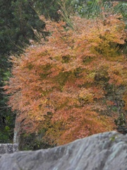 3B162492-F08C-45D6-84C4-FF95E107396F