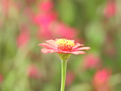 D9238F56-CC51-4961-AF8D-3B7155AEC0D4