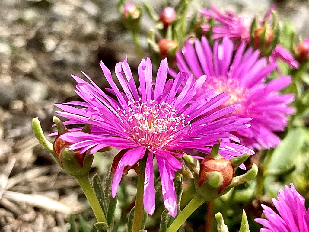 673CFC51-1C40-4BDF-BC60-6FCB0A9BE7D4