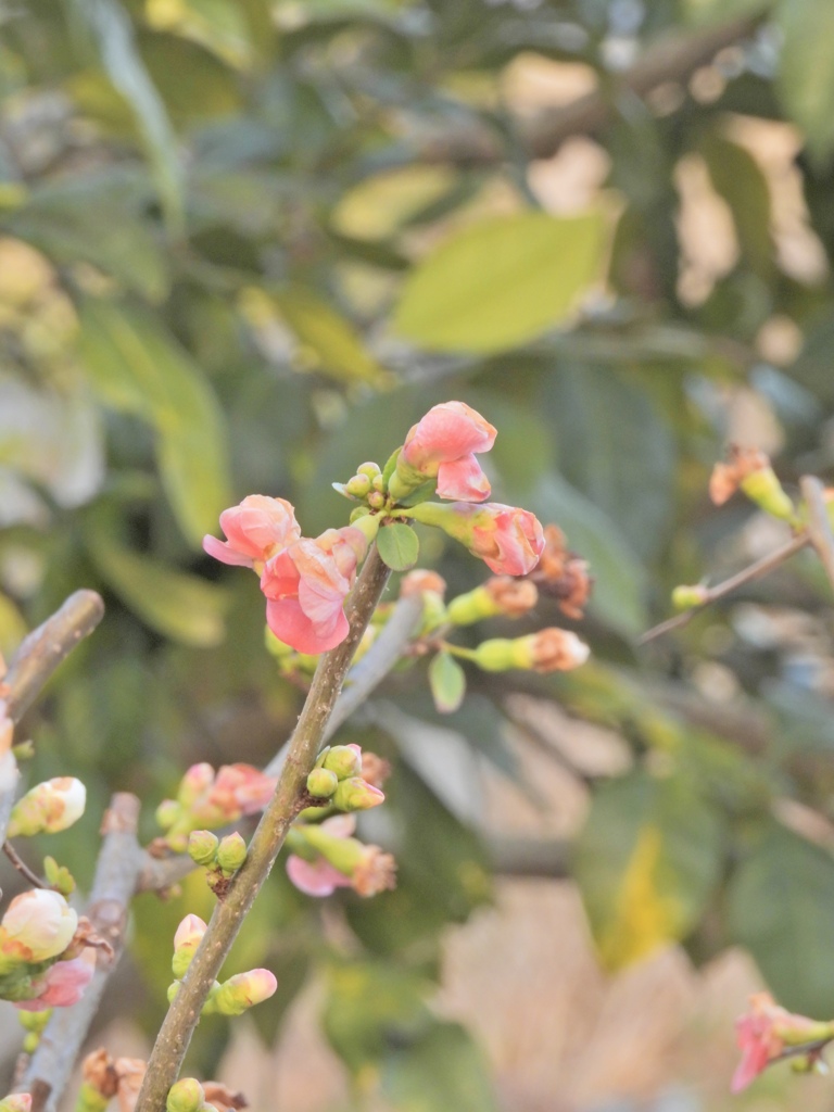 473436E9-A073-4427-8C0B-B6BAB3CD9DAE