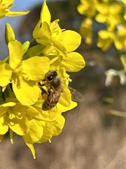 AE1FFEB3-EB5F-4B37-939E-851C06E4B4CC