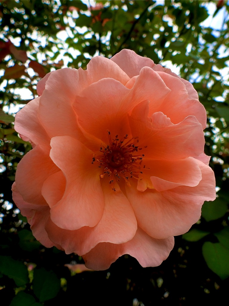 4D9AC7A2-7392-4CAF-BF41-8EB9906B7BC7