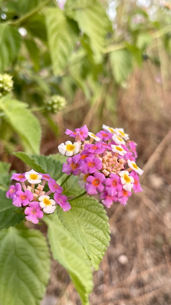 92138617-F6D4-4DB5-91AD-551680B7D197