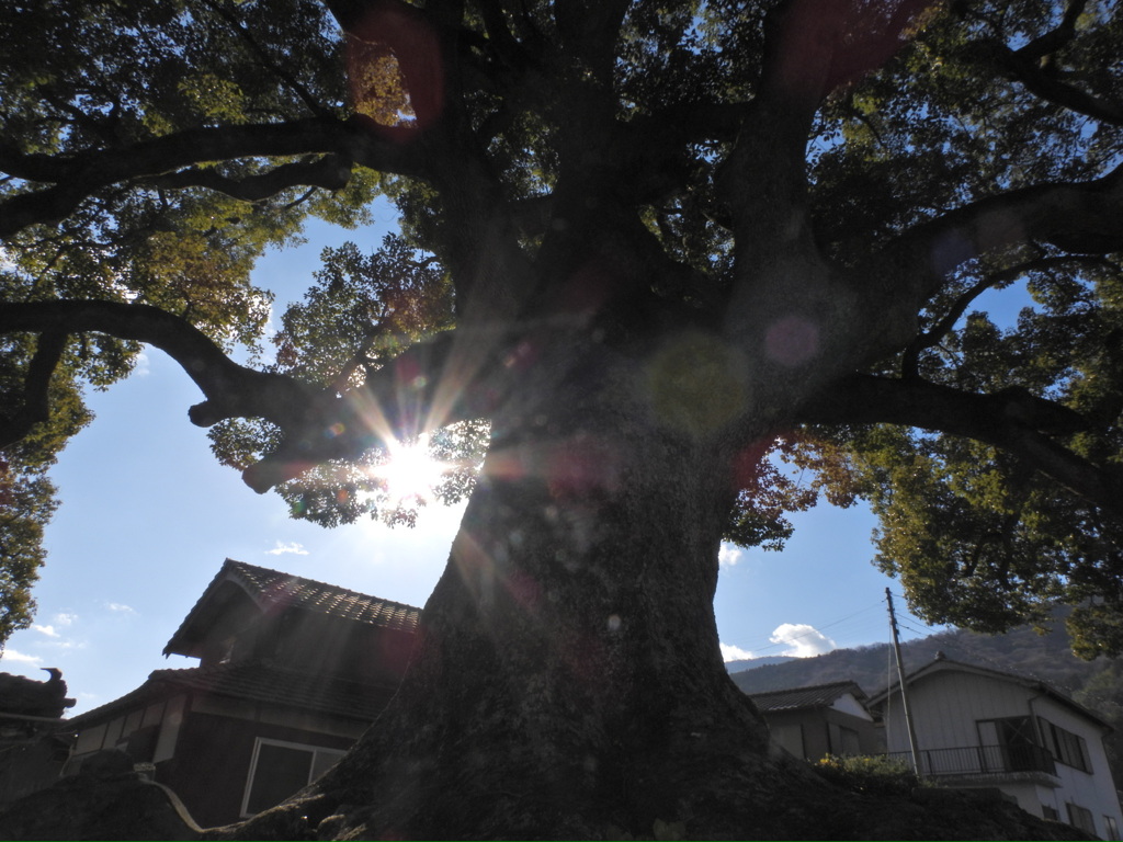 8E3BE1B2-A6B6-4877-BCF6-85DA9B413455