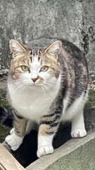 2BF77D40-25BE-4C08-98C3-8D7B619E385D