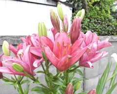 26CF4594-3AEF-4396-B868-E5FA3B2BC0B2
