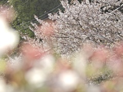 8361AA82-9AD4-4281-9D4B-2162EF5D8F5D