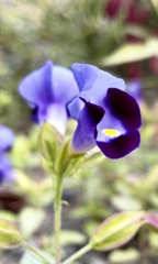 254FD946-D94D-4EE6-8578-8345B24BAF73