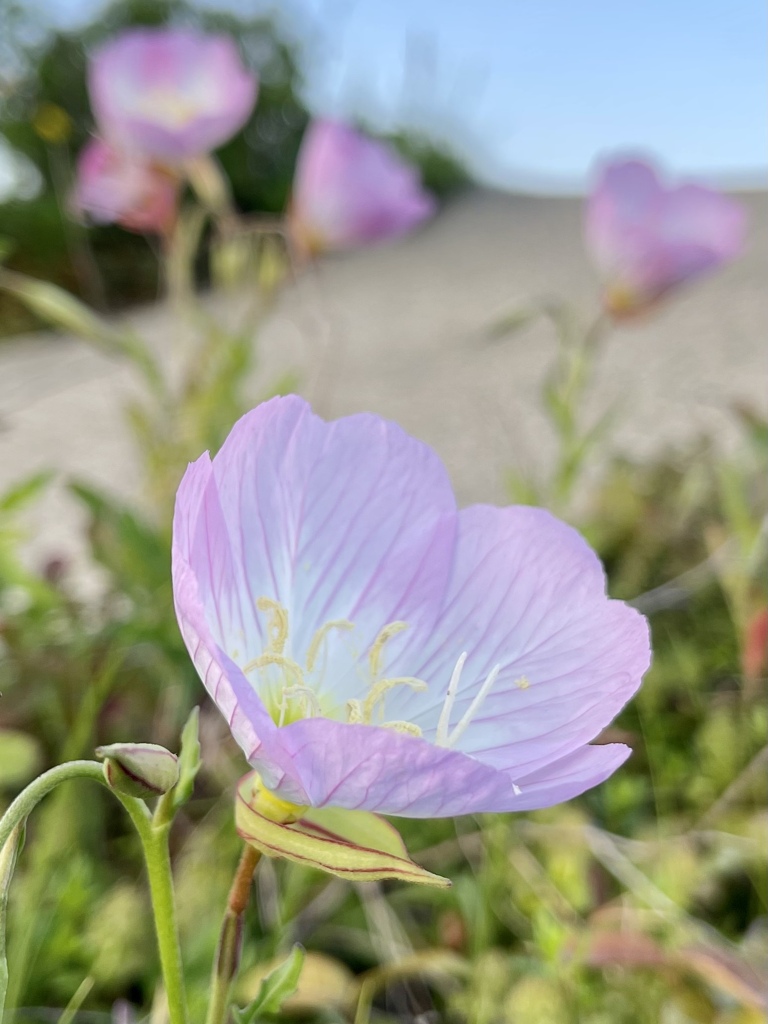 B717A668-D838-4D32-B873-195B2150F65C