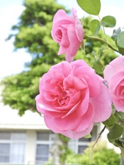 867D37FC-0651-405F-A8D7-72047207EE8A