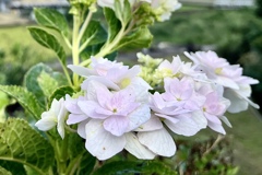 3635117D-1263-424E-A819-306463861C11