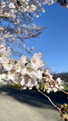 62FD2845-D73F-4AED-BA43-F96A7E820F9B