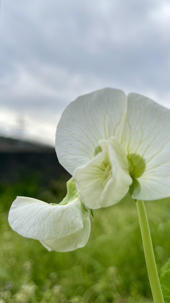 FA3E34CC-AFB7-4E9F-A6C1-74197F24C85F