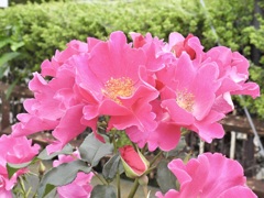 07F388CD-C92A-4C6B-B91D-255F247E0C29