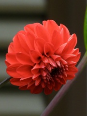 812DF6E8-6D74-441E-AEE9-B8FF23443B31