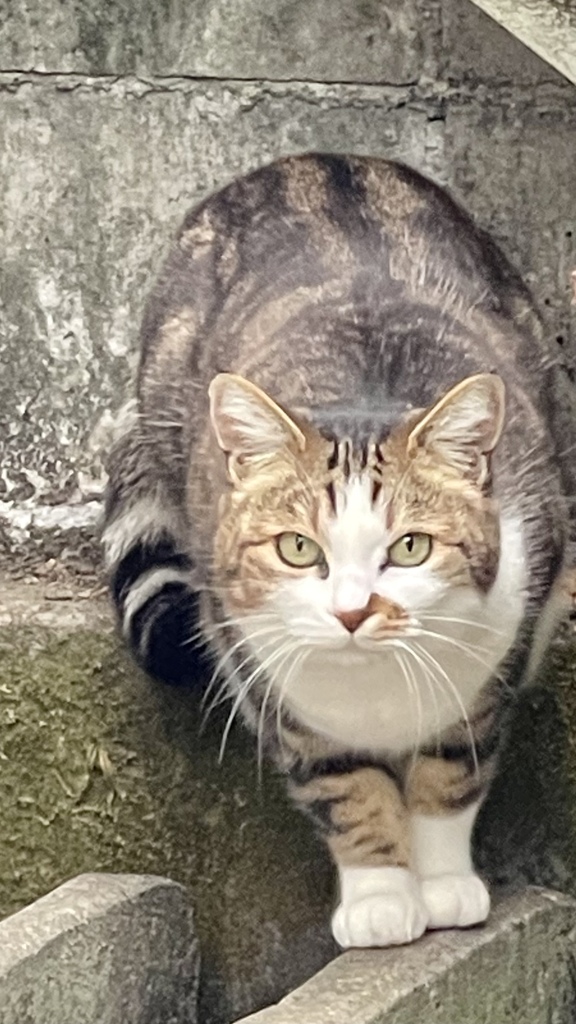 44FCADE1-1452-4582-879E-076CBB35A8FD