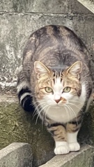 44FCADE1-1452-4582-879E-076CBB35A8FD