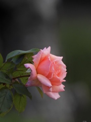 B515BDB1-50F2-4295-8C9A-42A95E8B8B6B