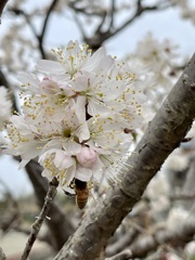 8564413A-837E-49C9-AC69-5AB7186951D9