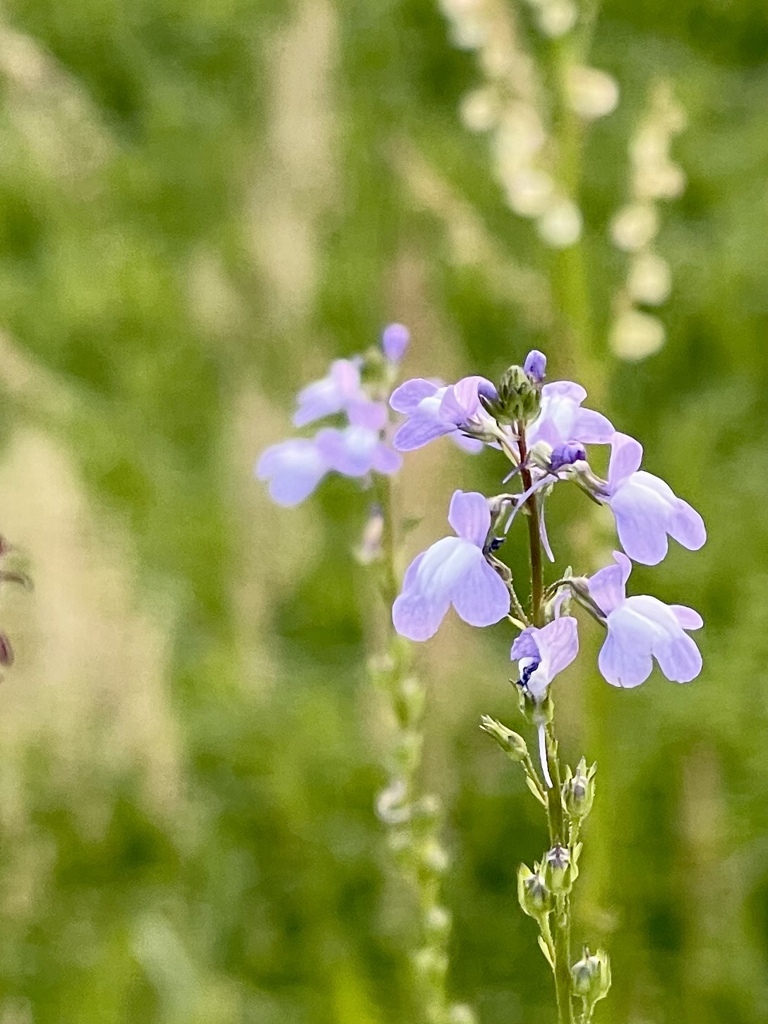 4ACE1474-E149-40CD-AC01-9A595CA4D3D7