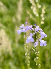 4ACE1474-E149-40CD-AC01-9A595CA4D3D7