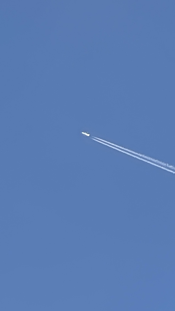 7B8FD7CA-258B-4EAD-8B4E-B7AAA60F98C5