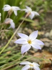 558E30CC-BC69-4550-8679-7A90B4266EEE