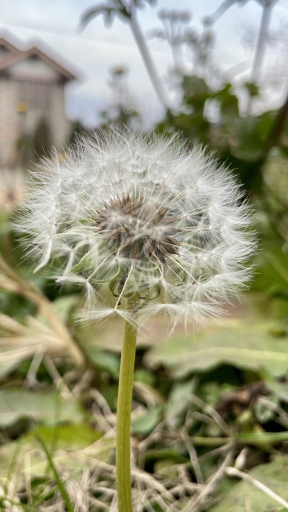 9DF231A2-3A5B-4123-82BC-FAD82A713D8A