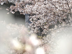 7078F0E6-0F70-4E71-ACFD-21553685C563