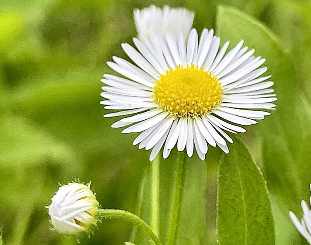 20D31A37-CC02-428C-9A1E-49BA7D57571F