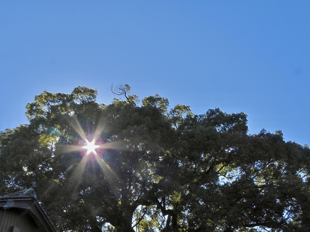 EB76D438-90A4-4B21-BDF4-B1446D7309F4