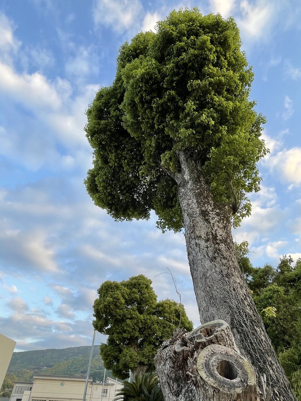 DD79E636-6B9E-4907-83ED-5568ADC7C3DA