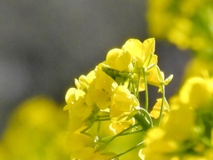 F3073EAE-2788-48FE-918D-B5B8EAAB2784