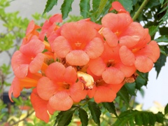 13D3FC91-358D-4604-9623-0522DB55AB7F