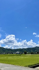 0580C0FF-F564-4890-90C1-D9E685D04C9D