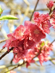 ED85F368-F3B1-47B8-876E-0E9BBFA6D078