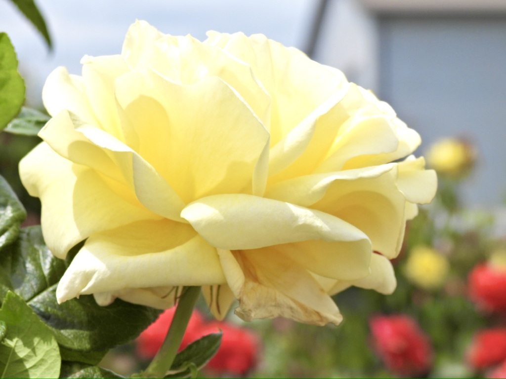 38AAB3A4-918F-4B05-936F-0F1B420318CF