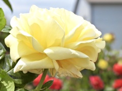38AAB3A4-918F-4B05-936F-0F1B420318CF