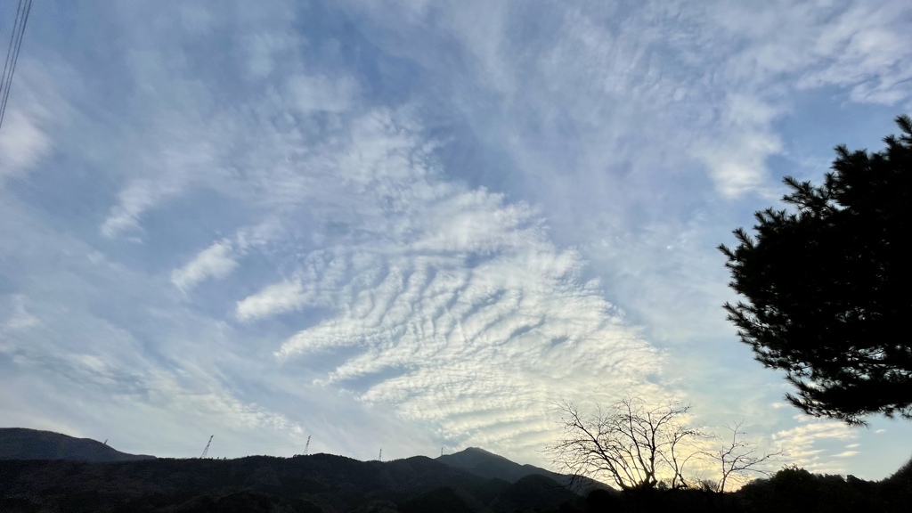 CC5FA884-21F1-4C59-BAF7-611971410BCA